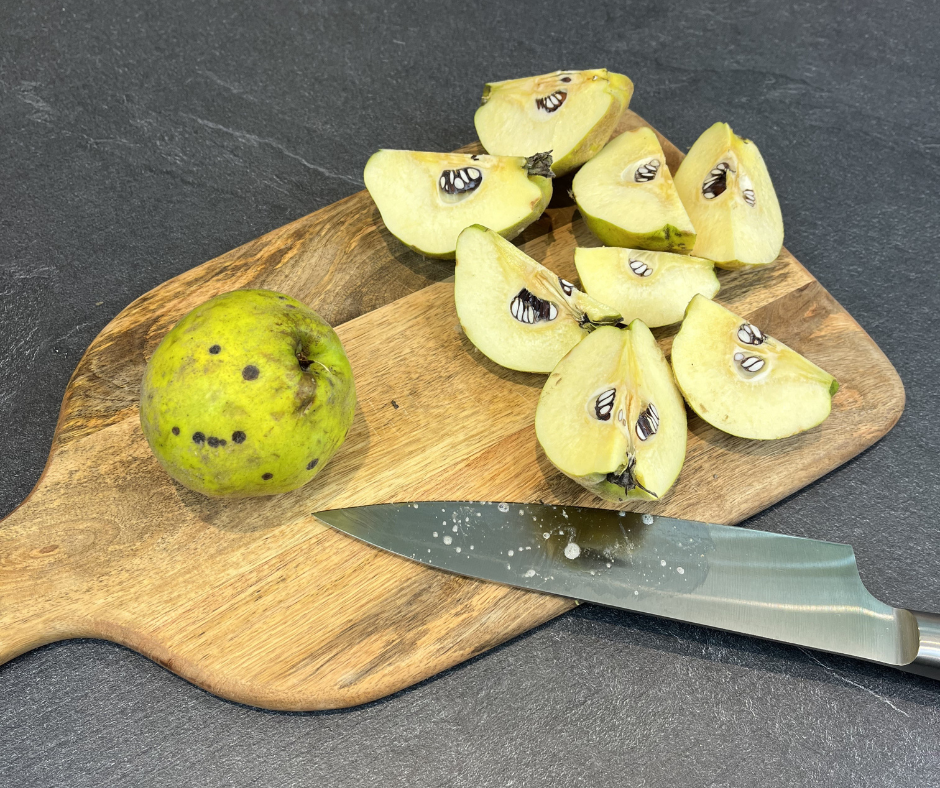 Rezepte Quitten-Hydrolat